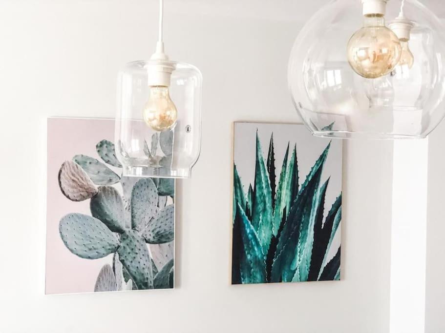 Los Cactus ラスパルマス・デ・グランカナリア エクステリア 写真